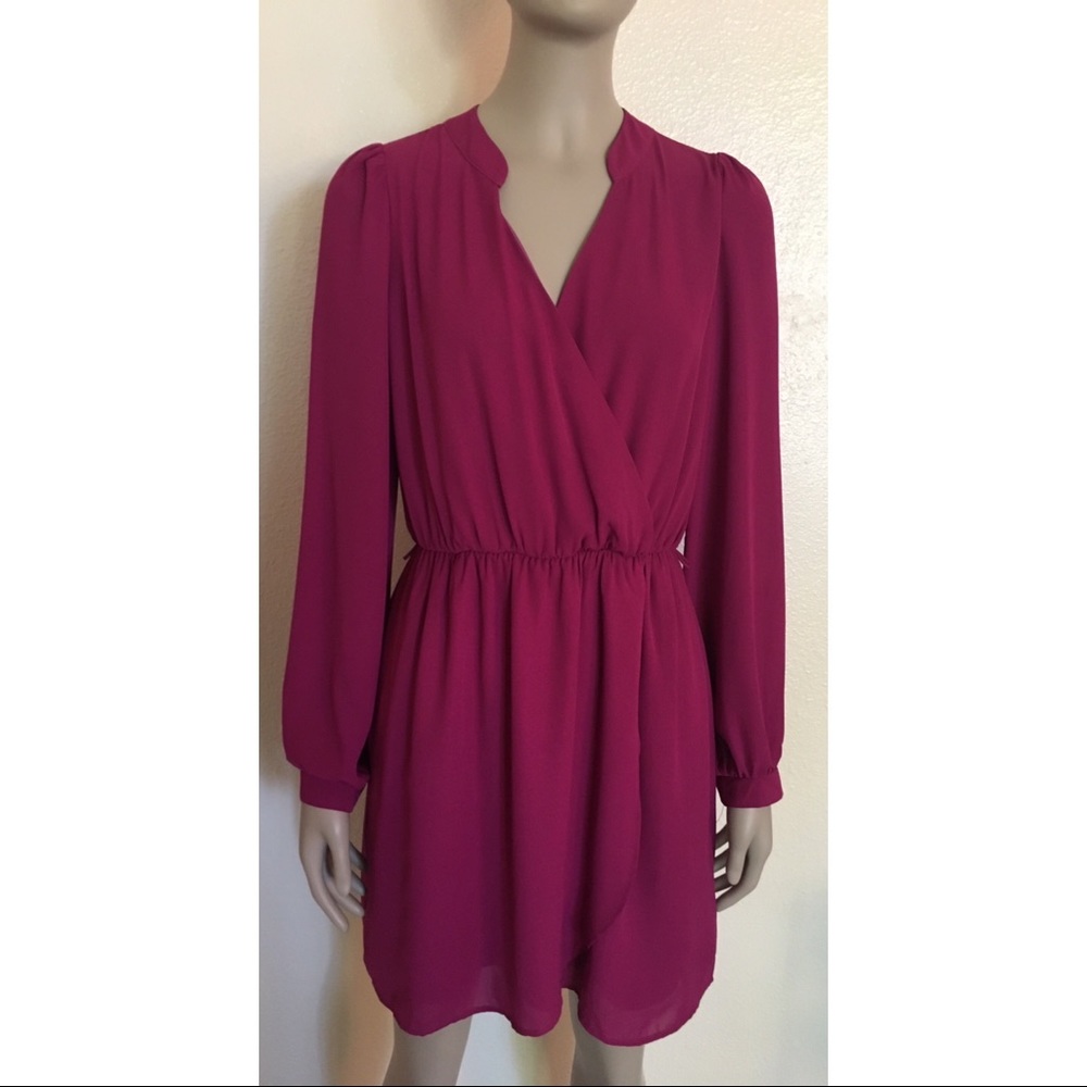 Pink Owl Long Sleeve Magenta Dress NWT